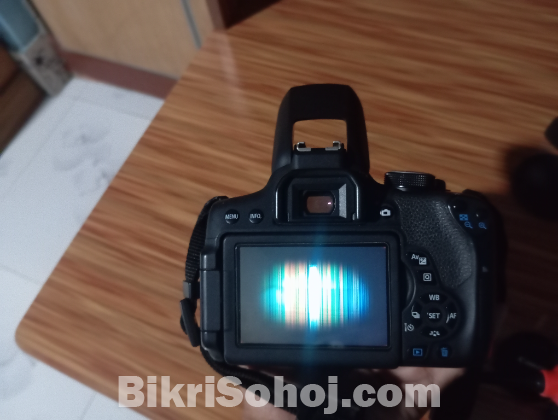 Camera Model:Cannon750D with cannon 50mm stm